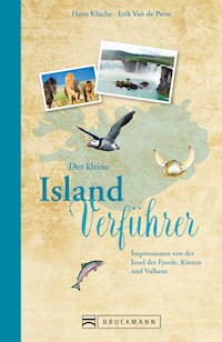 Der kleine Island-Verführer - Hans Klüche - ebook