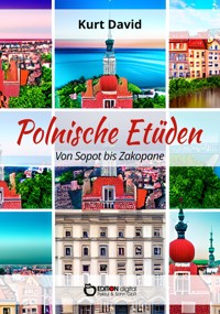 Polnische Etüden - Kurt David - ebook