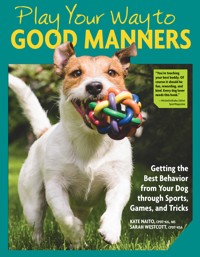 Play Your Way to Good Manners - Kate Naito - ebook