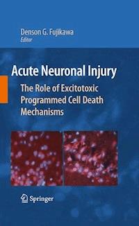 Acute Neuronal Injury -  - ebook