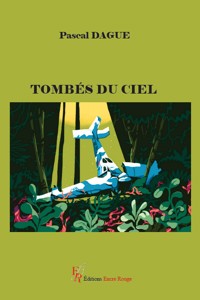 Tombés du ciel - Pascal Dague - ebook