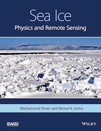 Sea Ice - Mohammed Shokr - ebook