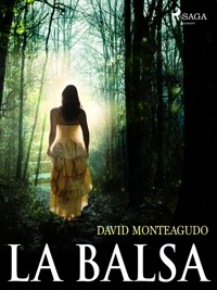 La balsa - David Monteagudo - ebook