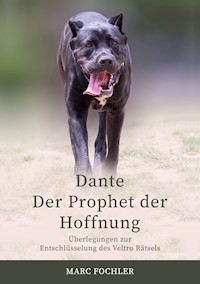 Dante — Der Prophet der Hoffnung - Marc Fochler - ebook