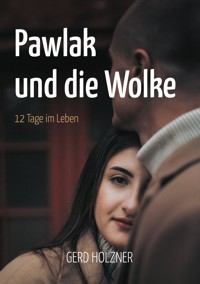Pawlak und die Wolke - Gerd Holzner - ebook