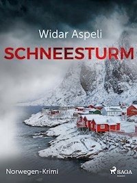 Schneesturm - Norwegen-Krimi - Widar Aspeli - ebook