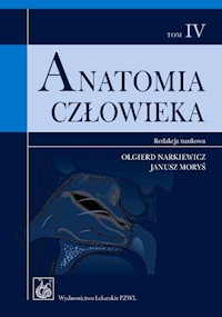 Anatomia człowieka Tom 4 -  - książka