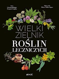 Wielki zielnik roślin leczniczych - Debuigne Gérard, Couplan  François - książka