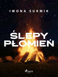 Ślepy płomień - Iwona Surmik - ebook + audiobook