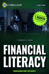 Financial Literacy - Cybellium - ebook
