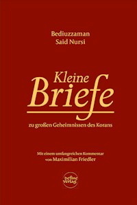 Kleine Briefe - Bediuzzaman Said Nursi - ebook