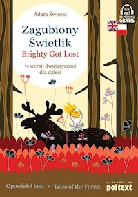 Zagubiony Świetlik Brighty Got Lost - Święcki Adam - książka