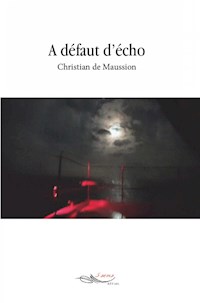 A défaut d’écho - Christian de Maussion - ebook