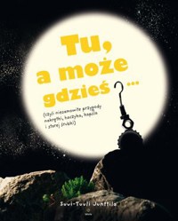Tu, a może gdzieś… (czyli niesamowite przygody nakrętki, haczyka, kapsla i starej śrubki) - Suvi-Tuuli Junttila - książka