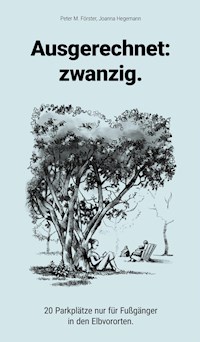 Ausgerechnet: zwanzig. - Peter M. Förster - ebook