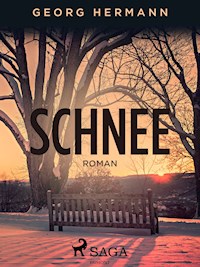 Schnee - Georg Hermann - ebook