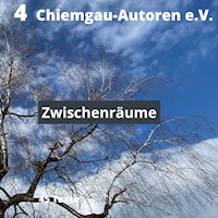 Zwischenräume -  - ebook