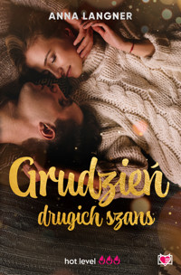 Grudzień drugich szans - Anna Langner - ebook + audiobook + książka