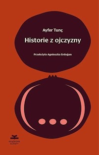 Historie z ojczyzny - Tunç Ayfer - ebook + książka