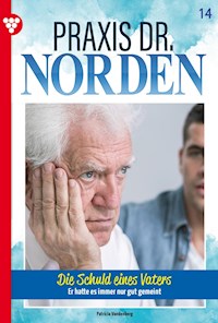 Die Schuld eines Vaters - Vandenberg Patricia - ebook