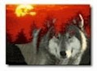 La llamada de la selva - Jack London - darmowy ebook