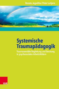 Systemische Traumapädagogik - Renate Jegodtka - ebook