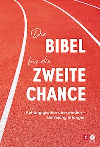 Die Bibel für die zweite Chance - Stephen Arterburn - ebook