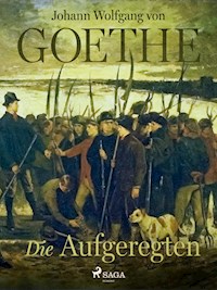 Die Aufgeregten - Johann Wolfgang von Goethe - ebook