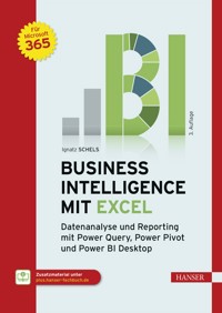 Business Intelligence mit Excel - Ignatz Schels - ebook