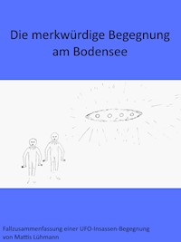 Die merkwürdige Begegnung am Bodensee - Mattis Lühmann - ebook