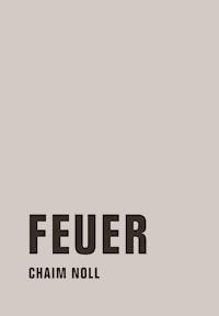 Feuer - Chaim Noll - ebook