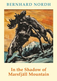 In the Shadow of Marsfjäll Mountain - Bernhard Nordh - ebook