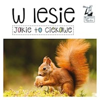 Kapitan Nauka Jakie to ciekawe W lesie - Opracowanie zbiorowe - książka