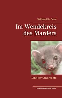 Im Wendekreis des Marders - Wolfgang H.O. Fabian - ebook