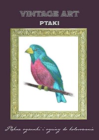 Vintage Art Ptaki -  - książka