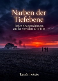 Narben der Tiefebene - Tamás Fekete - ebook