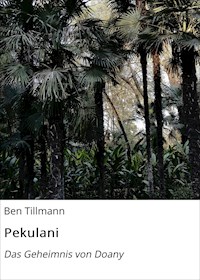 Pekulani - Ben Tillmann - ebook