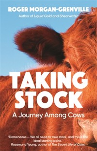 Taking Stock - Roger Morgan-Grenville - ebook