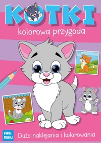 Kotki. Kolorowa przygoda - Katarzyna Maćkowiak - książka