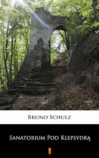 Sanatorium Pod Klepsydrą - Schulz Bruno - ebook