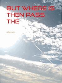 but where is then pass the paradise - JP Bernadin - ebook