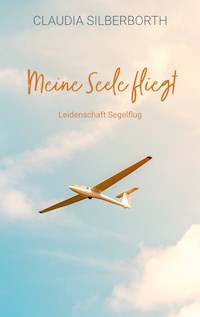 Meine Seele fliegt - Claudia Silberborth - ebook