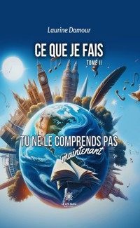 Ce que je fais - Tome 2 - Laurine Damour - ebook