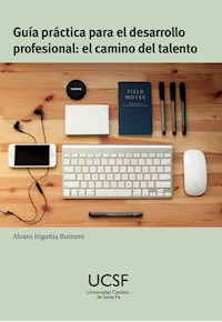 Guía práctica para el desarrollo profesional - Alvaro Irigoitia Romero - ebook