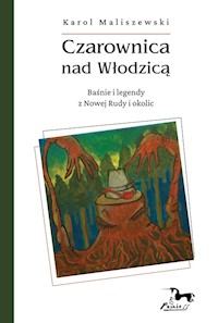 Czarownica nad Włodzicą - Karol Maliszewski - książka