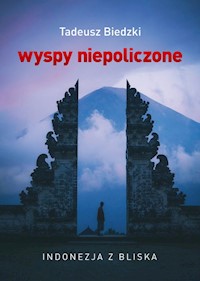 Wyspy niepoliczone - Tadeusz Biedzki - książka