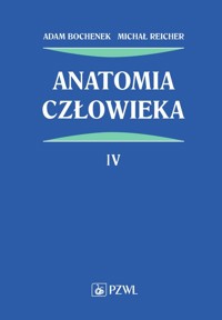 Anatomia człowieka Tom 4 - Bochenek Adam, Reicher Michał - książka