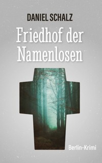 Friedhof der Namenlosen - Daniel Schalz - ebook