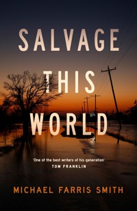 Salvage This World - Michael Farris Smith - ebook