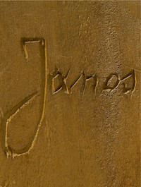 Janos - Zalot Beata, Daranowska-Łukaszewska Joanna, Kubiena Jacek - książka